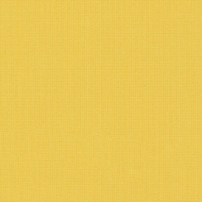 CANVAS LEMON